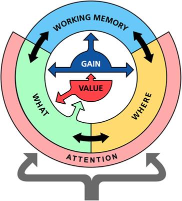 From Focused Thought to Reveries: A Memory System for a Conscious Robot